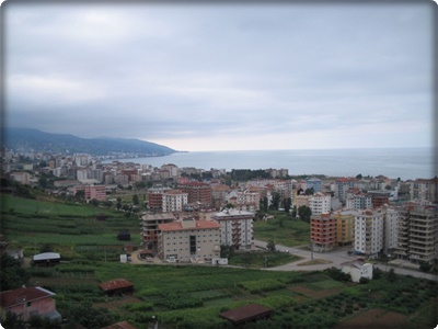 Söğütlü Evden Eve Nakliyat
